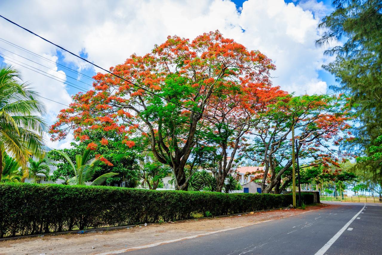 Garcon Des Iles Villa Mont-Choisy Buitenkant foto